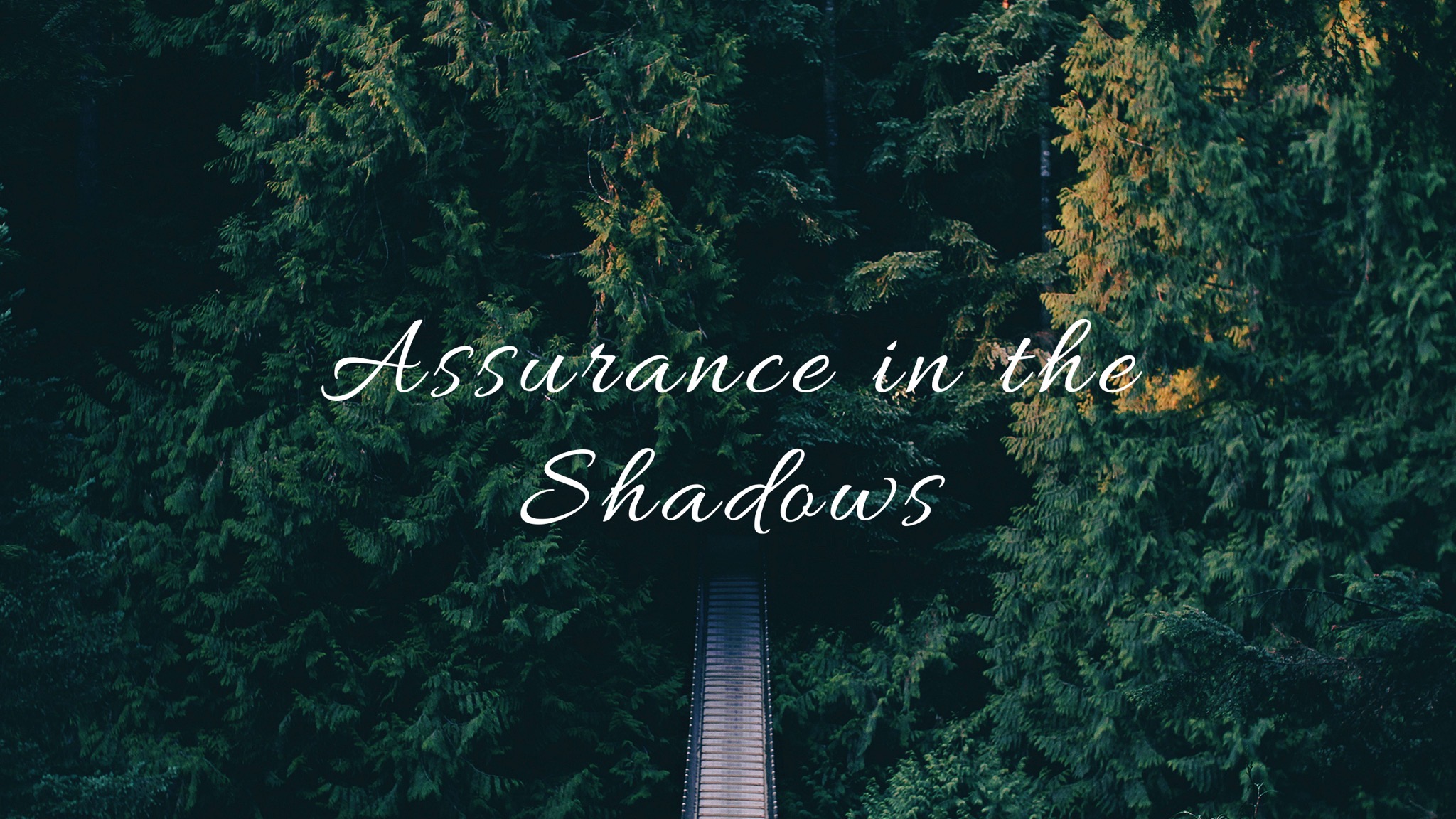 Assurance in the Shadows Image