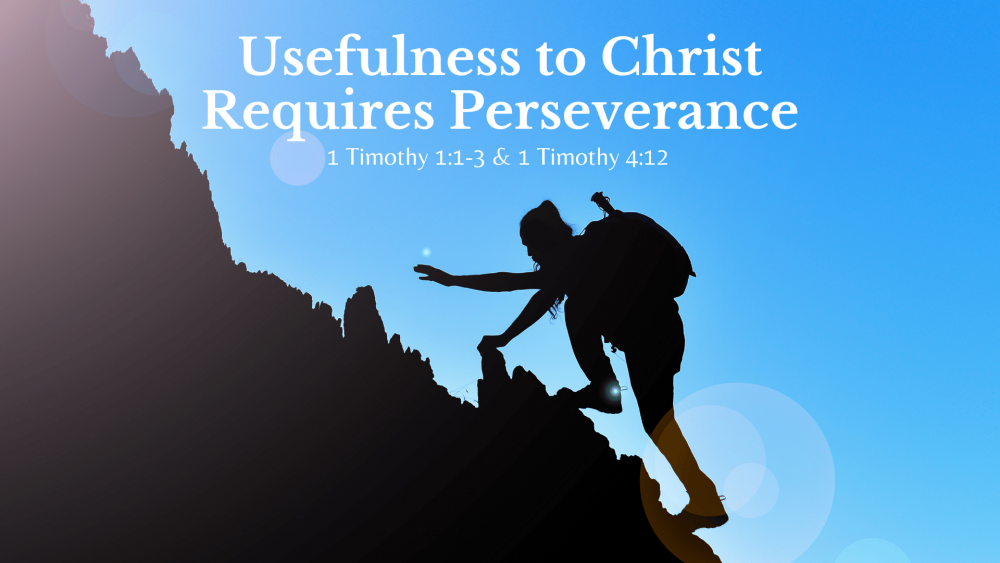 Usefulness to Christ Requires Perseverance Image